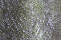 Scalloway fibreglass roof work